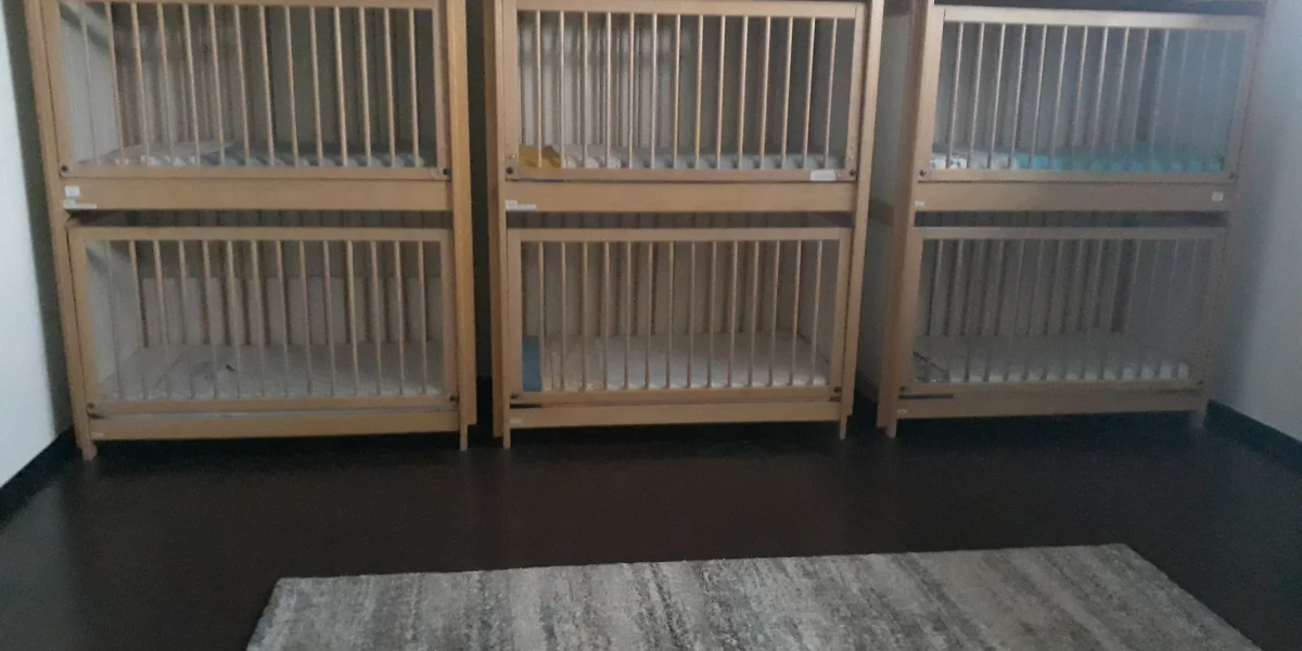 Kinderdagverblijf De Boefjes
