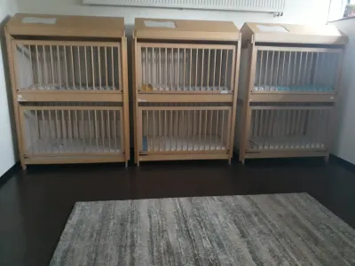 Kinderdagverblijf De Boefjes