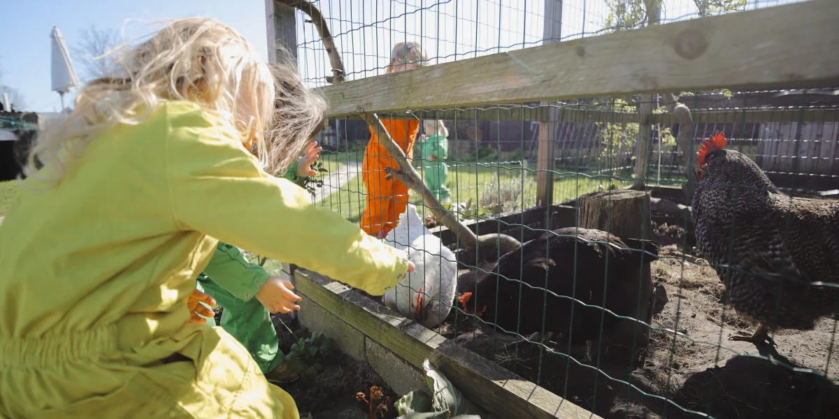 Kinderopvang Het Kuikentje