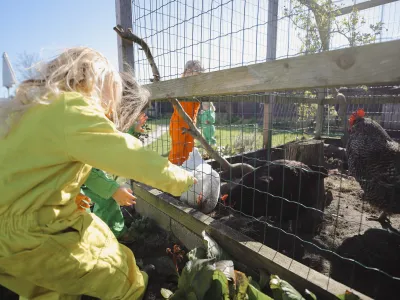 Kinderopvang Het Kuikentje
