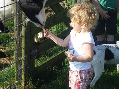 Kinderopvang Veld-Zicht
