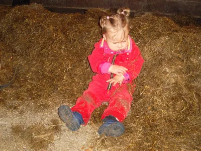 Kinderopvang Veld-Zicht
