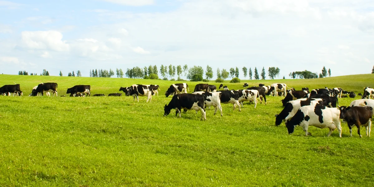 buitenschoolse opvang Natuurlijk Avontuurlijk