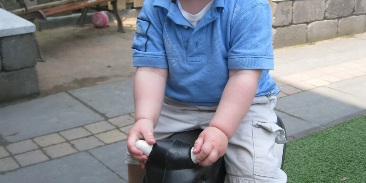 Lukkepuk