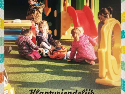 Dolfijn visie en beleid