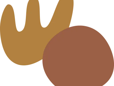 Kinderdagopvang Baloo