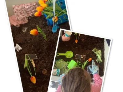 Buitenschoolse opvang de Vlinderboom