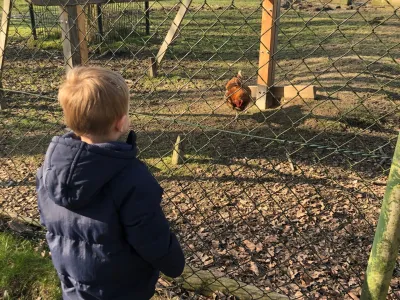 De Bosuiltjes