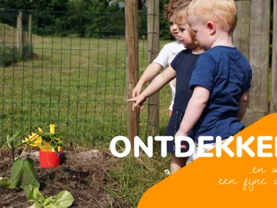 Ontdekken