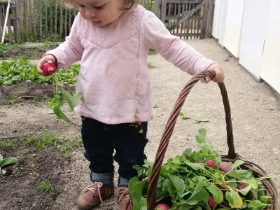 Hestia Kinderopvang Amsterdam | Amstelveen | Driemond