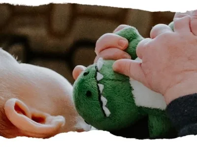 Kinderdagverblijf Buitenspelen
