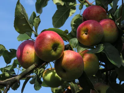 Kinderopvang Van Nature
