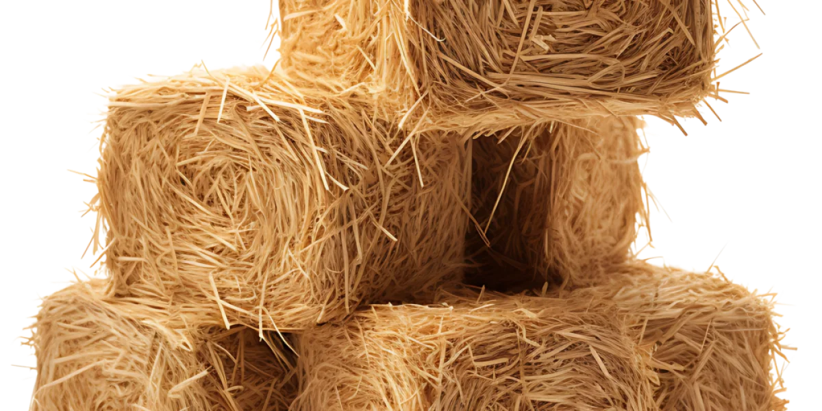Kinderopvang Het Vrolijke Koetje